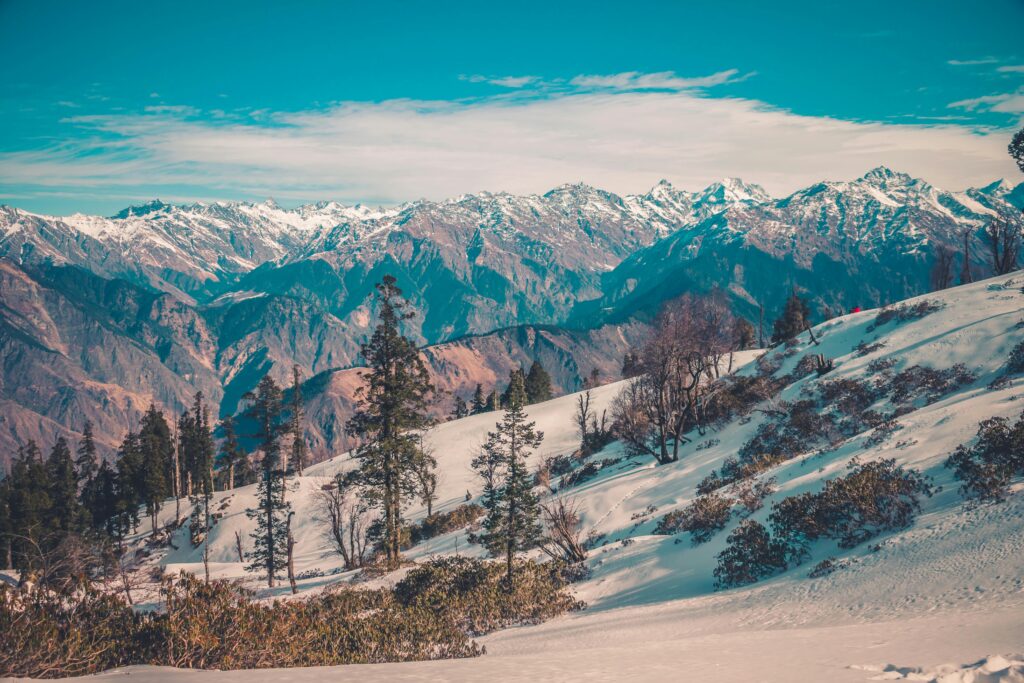 Top Auli Tour