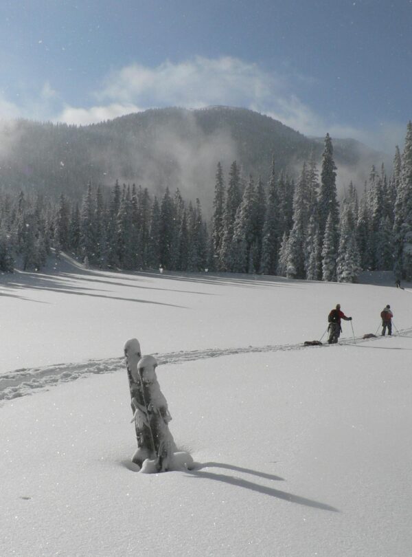 Anant Tour & Travels Chopta Pakage