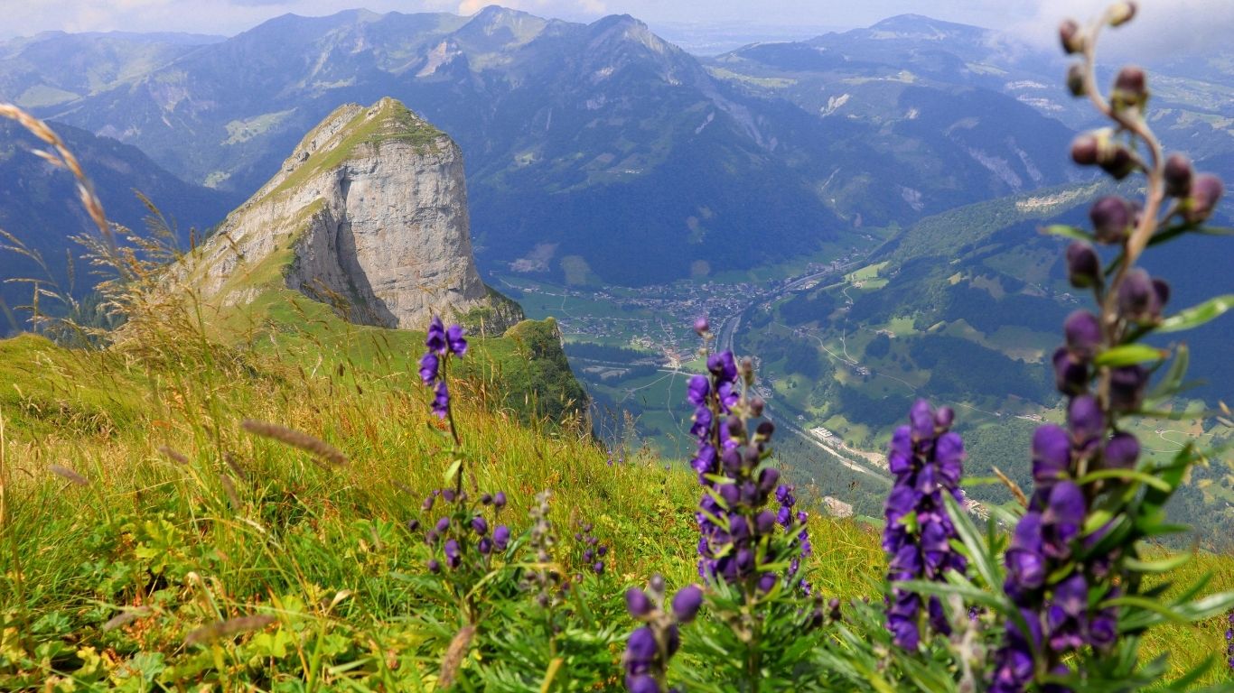 Anant Tour & Travels Vally or Flowers Trek