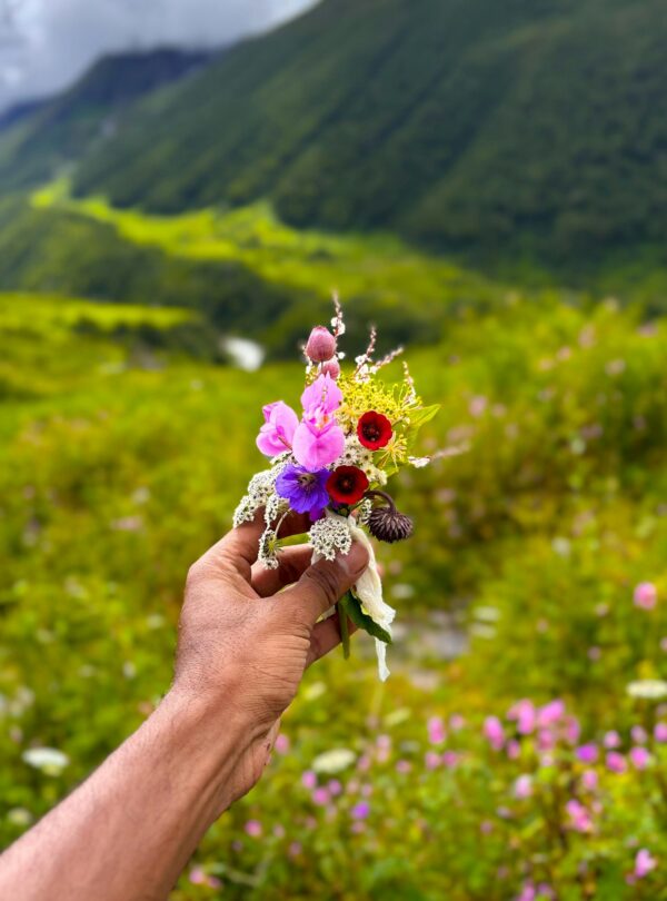 Anant Tour & Travels Valley of Flowers Tour